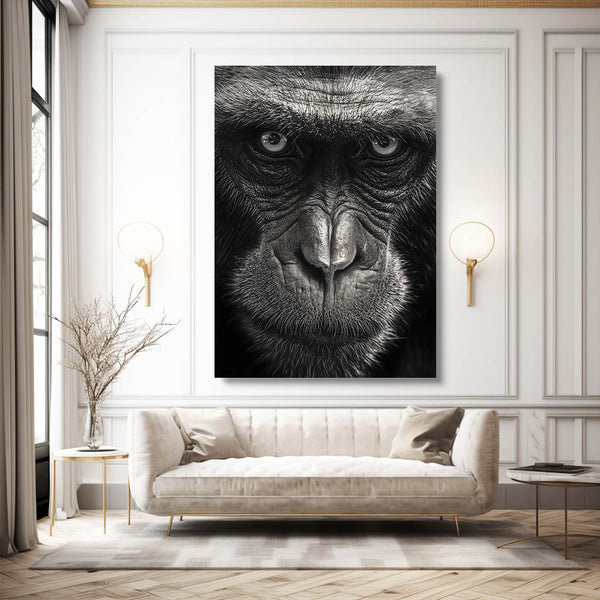 Kong Monkey Art