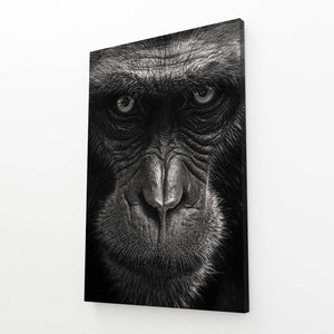 Kong Monkey Art