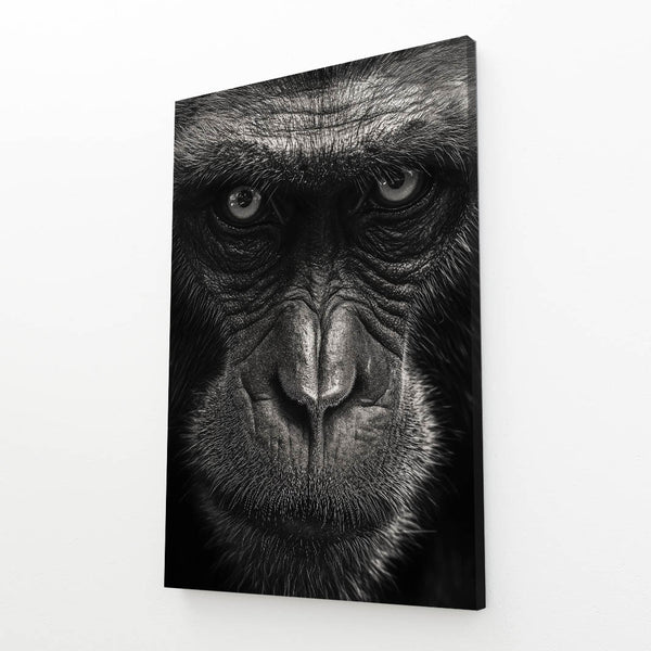 Kong Monkey Art