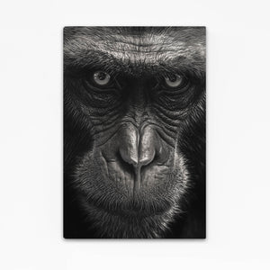 Kong Monkey Art
