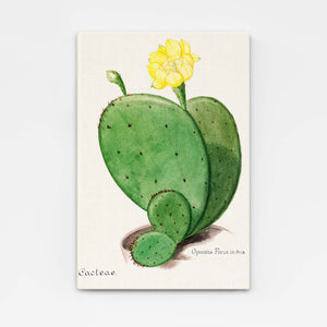 Large Cactus Art | MusaArtGallery™