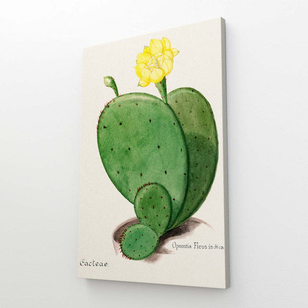 Large Cactus Art | MusaArtGallery™