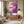 Lavender Cherry Blossom Tree Wall Art