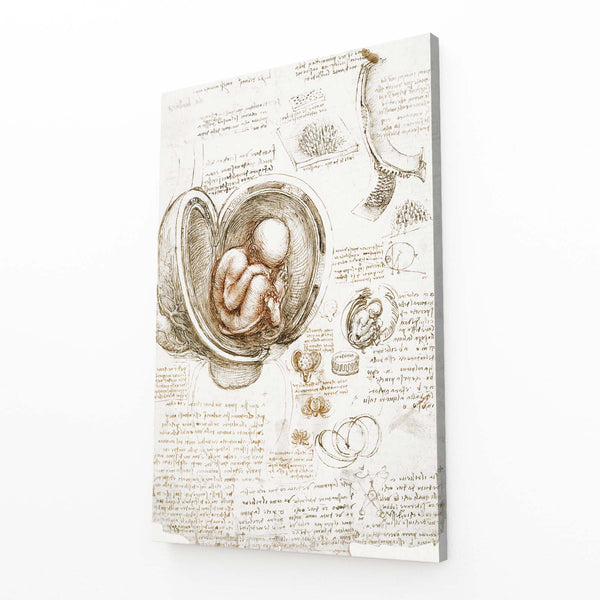 Leonard Da Vinci Art