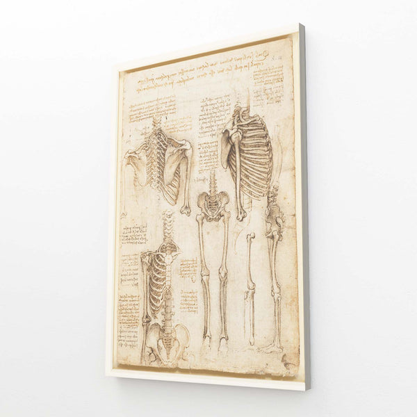 Leonard Da Vinci Artwork