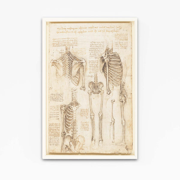 Leonard Da Vinci Artwork