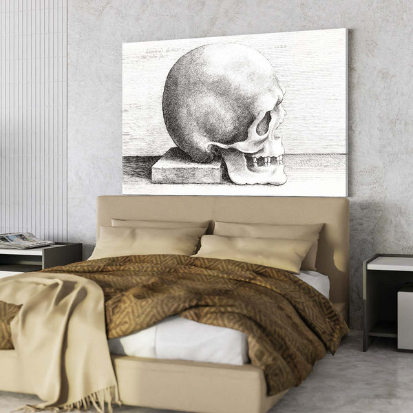 Leonard Da Vinci Skull