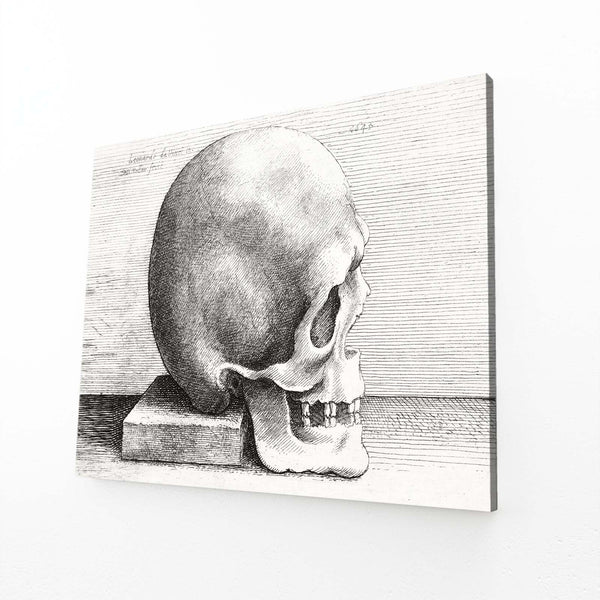 Leonard Da Vinci Skull