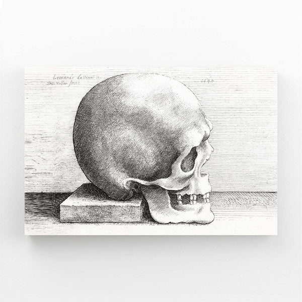 Leonard Da Vinci Skull