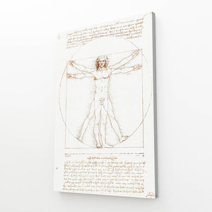 Leonard Da Vinci Vitrus