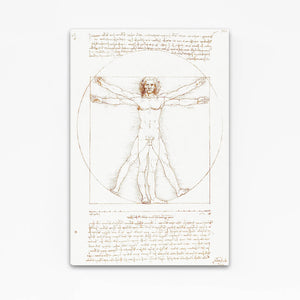 Leonard Da Vinci Vitrus