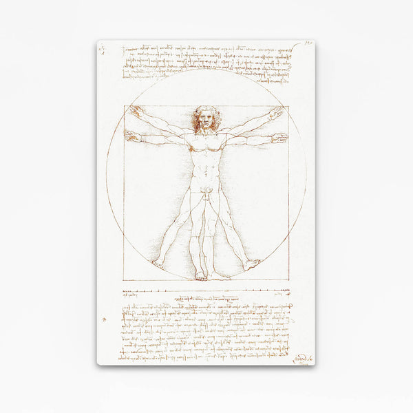 Leonard Da Vinci Vitrus