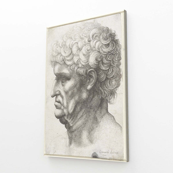 Leonard Da Vinci Wall Art