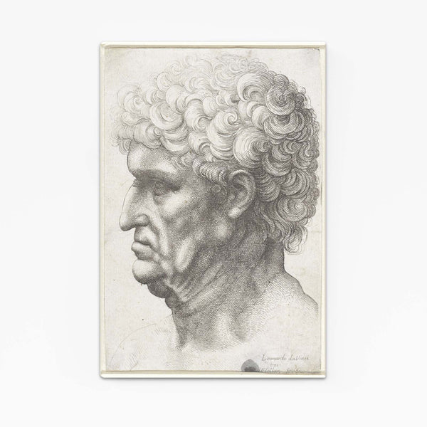 Leonard Da Vinci Wall Art