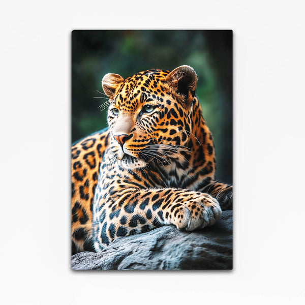 Leopard Bathroom Wall Art
