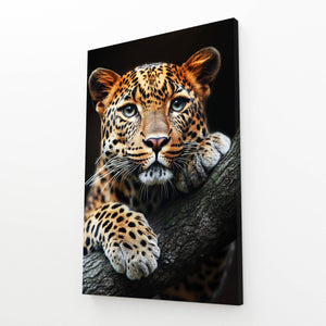 Leopard Framed Wall Art