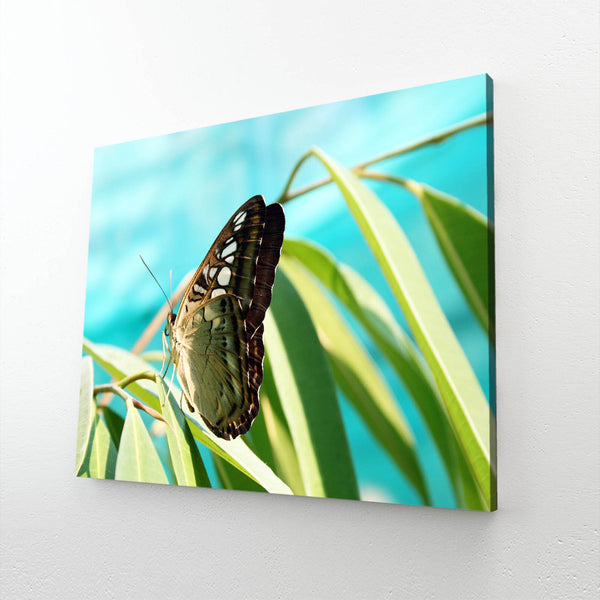 Light Up Butterfly Wall Art | MusaArtGallery™