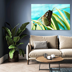 Light Up Butterfly Wall Art | MusaArtGallery™