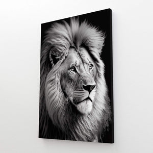 Lion Black and White Art | MusaArtGallery™