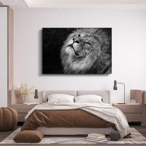Lion Face Art | MusaArtGallery™