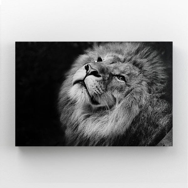 Lion Face Art | MusaArtGallery™