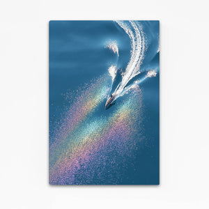 Living Room Dolphin Wall Art