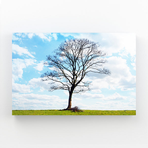 Lone Serenity Tree Art | MusaArtGallery™