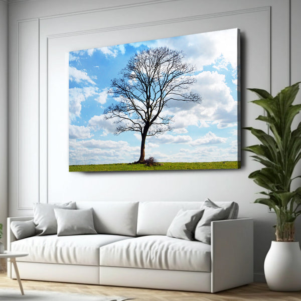 Lone Serenity Tree Art | MusaArtGallery™