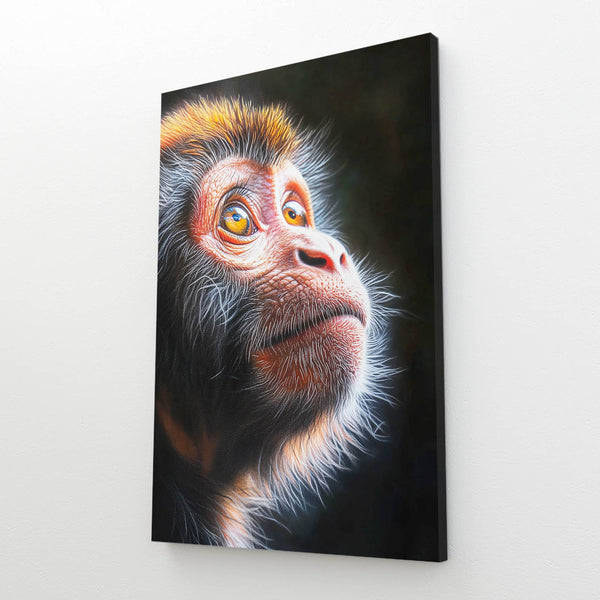 Look Monkey Art