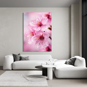 Macro Pink Cherry Blossom Flower Art