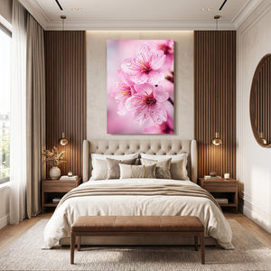 Macro Pink Cherry Blossom Flower Art