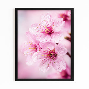 Macro Pink Cherry Blossom Flower Art