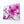 Magenta Cherry Blossom Flower Art