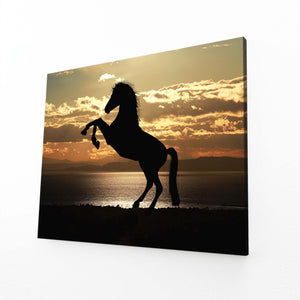 Magestic Horse Art