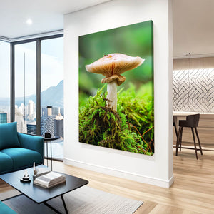 Mayan Mushroom Art | MusaArtGallery™