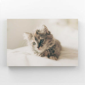 Mid Century Cat Wall Art | MusaArtGallery™