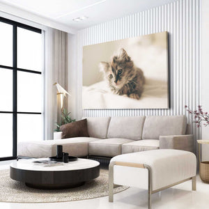 Mid Century Cat Wall Art | MusaArtGallery™
