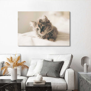Mid Century Cat Wall Art | MusaArtGallery™