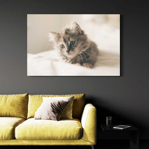 Mid Century Cat Wall Art | MusaArtGallery™