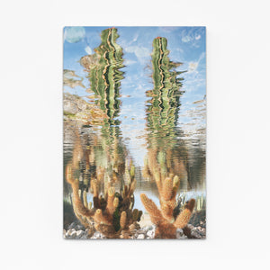 Mirror Cactus Art
