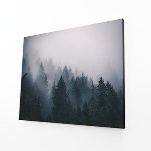 Misty Forest Tree Art | MusaArtGallery™