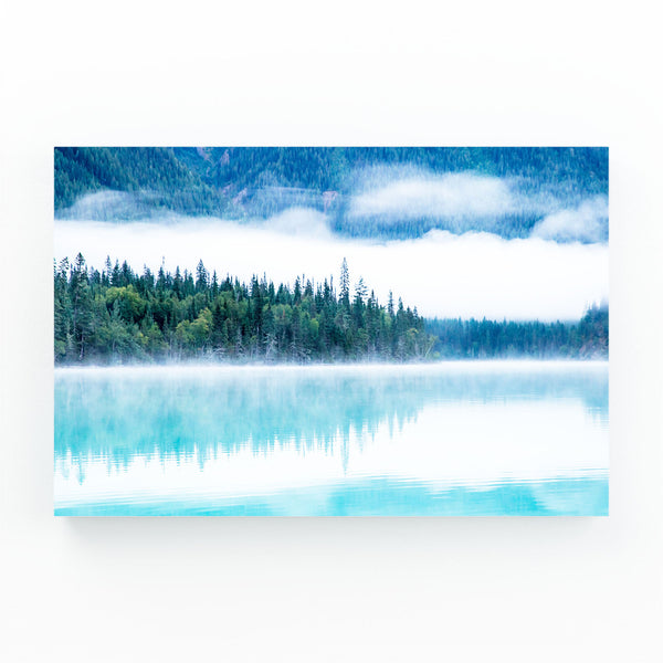 Misty Pines Tree Art | MusaArtGallery™