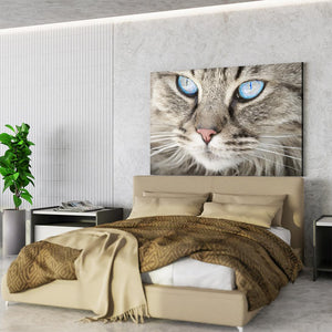 Modern Cat Wall Art | MusaArtGallery™