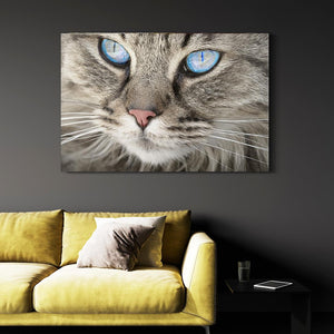 Modern Cat Wall Art | MusaArtGallery™