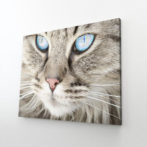 Modern Cat Wall Art | MusaArtGallery™