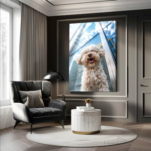 Modern Dog Art