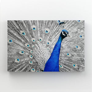 Modern Retro Wall Art | MusaArtGallery™