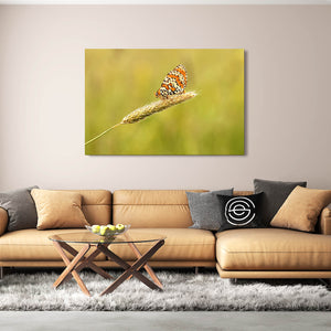 Monarch Butterfly Wall Art | MusaArtGallery™