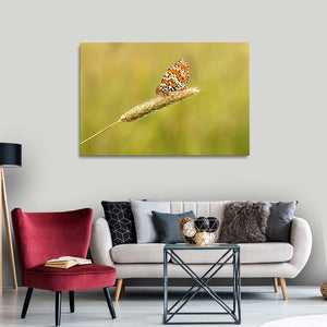 Monarch Butterfly Wall Art | MusaArtGallery™