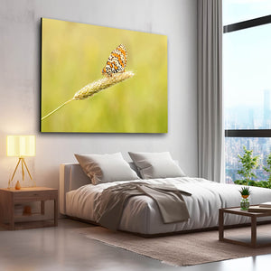 Monarch Butterfly Wall Art | MusaArtGallery™